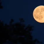 Superlua é visível no Ceará nesta quinta-feira (17); saiba o melhor horário para assistir