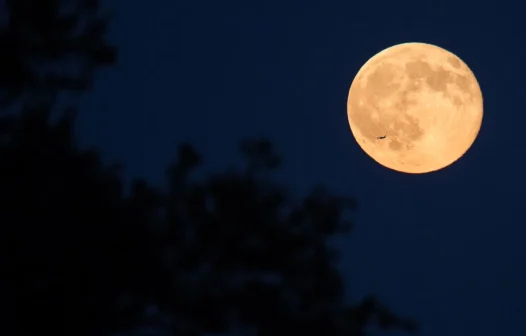 Superlua é visível no Ceará nesta quinta-feira (17); saiba o melhor horário para assistir