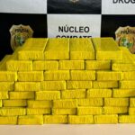 Polícia Civil apreende 51 Kg de cocaína em caminhão-cegonha no Ceará