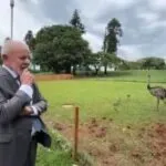 Lula comemora nascimento de nova ninhada de emas no Palácio do Alvorada