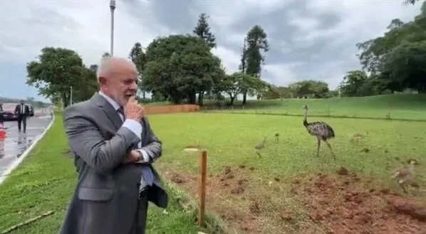 Lula comemora nascimento de nova ninhada de emas no Palácio do Alvorada