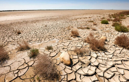 Tribunal de Contas do Ceará aprova plano de combate à desertificação no semiárido cearense