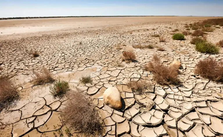 Tribunal de Contas do Ceará aprova plano de combate à desertificação no semiárido cearense