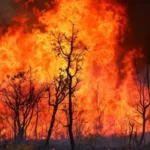 Número de queimadas no Ceará aumenta 112% em setembro, alerta Enel