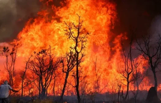 PF vasculha casa de suspeito por incêndio no Parque Nacional