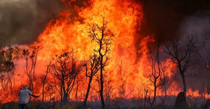 PF vasculha casa de suspeito por incêndio no Parque Nacional