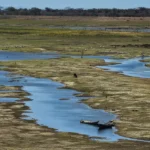 Consórcio Nordeste instala comitê para monitorar emergências climáticas