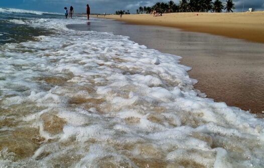 Fortaleza registra 24 praias próprias para banho neste fim de semana; confira a lista