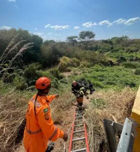 Ao perceber problema no motor do avião o piloto optou pelo pouso forçado na mata