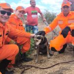 Cachorro é resgatado pelo Corpo de Bombeiros após cair em cacimba de 15 metros no Ceará