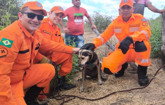 Cachorro é resgatado pelo Corpo de Bombeiros após cair em cacimba de 15 metros no Ceará