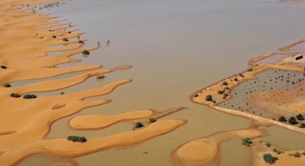 Chuva forma lagoas entre as dunas do deserto do Saara após tempestade; confira o vídeo