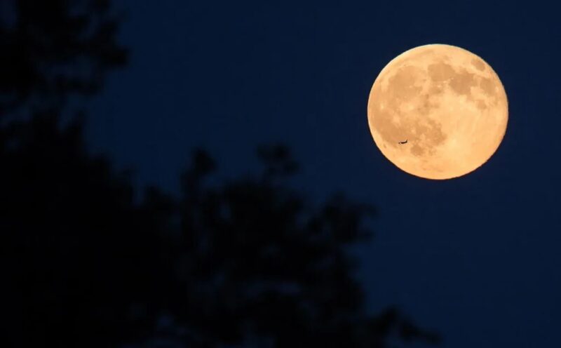 Qual é a fase da Lua hoje, domingo (24/11/2024)? Confira o calendário lunar de novembro