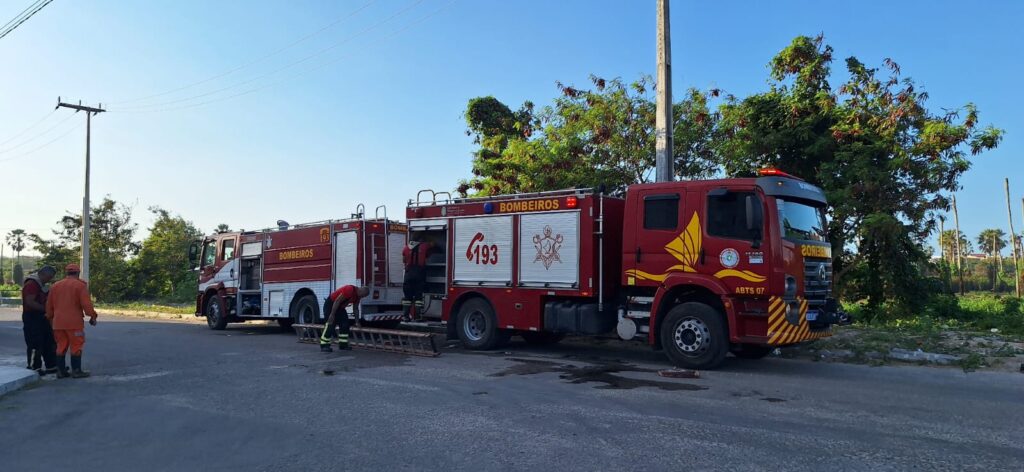 Incêndio em terreno no bairro Cajazeiras ameaça criadouros de aves raras