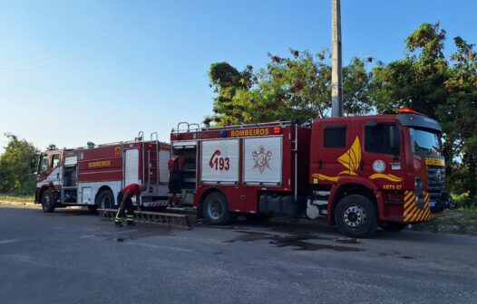 Incêndio em terreno no bairro Cajazeiras ameaça criadouros de aves raras