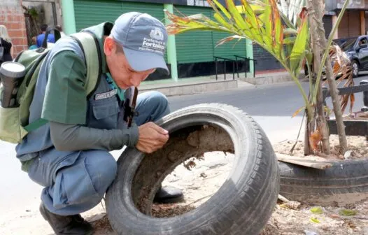 Operação Inverno: Prefeitura de Fortaleza inicia nesta sexta (22) ações de prevenção às arboviroses