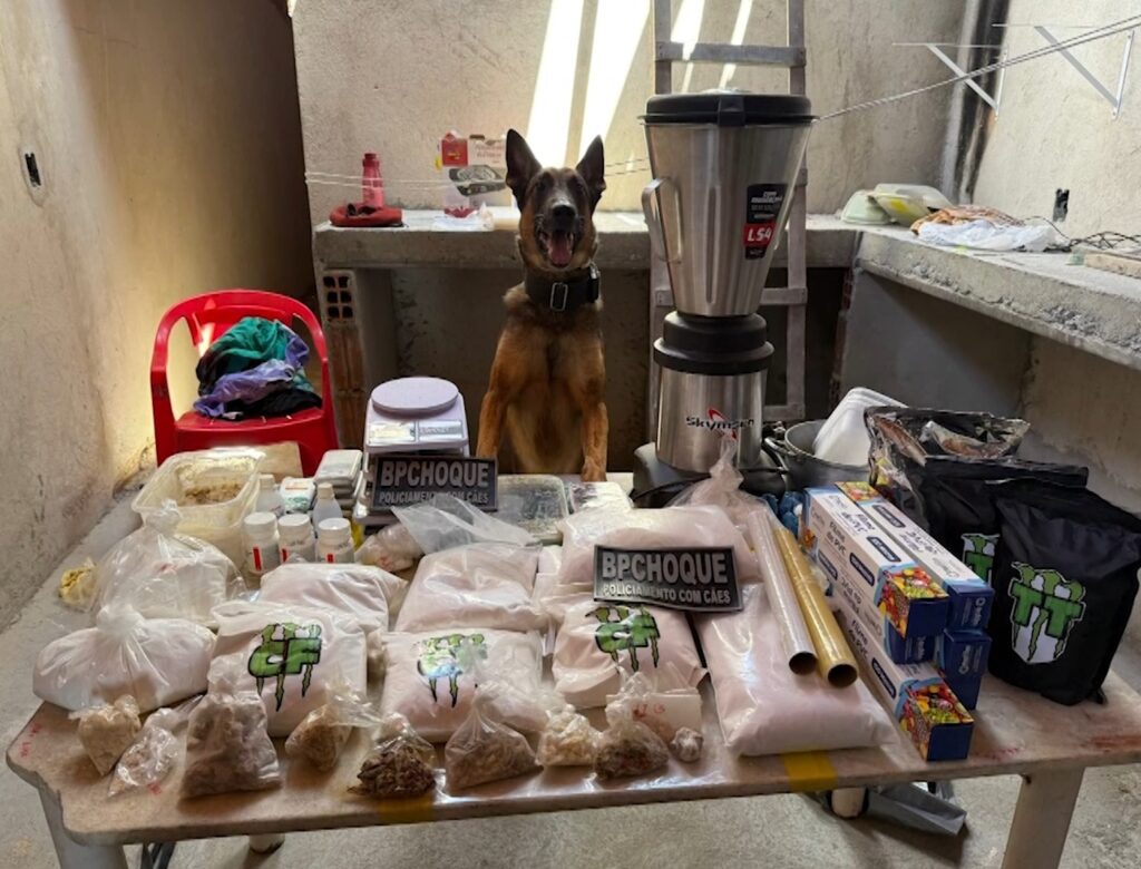 Polícia desarticula laboratório de drogas que funcionava em casa abandonada em Fortaleza