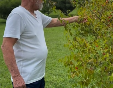 Lula e Janja fazem passeio pelo pomar do Alvorada para seguir a tradição no dia do enem