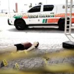 Perícia Forense realiza Expo 2024 com simulação de cena de crime e emissão de identidade em Fortaleza; confira