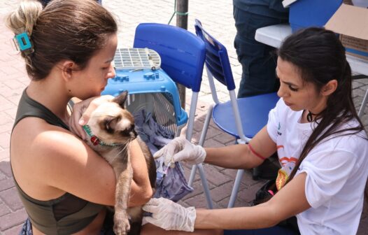 Fortaleza vacina mais de 257 mil cães e gatos contra a raiva no Dia D de imunização