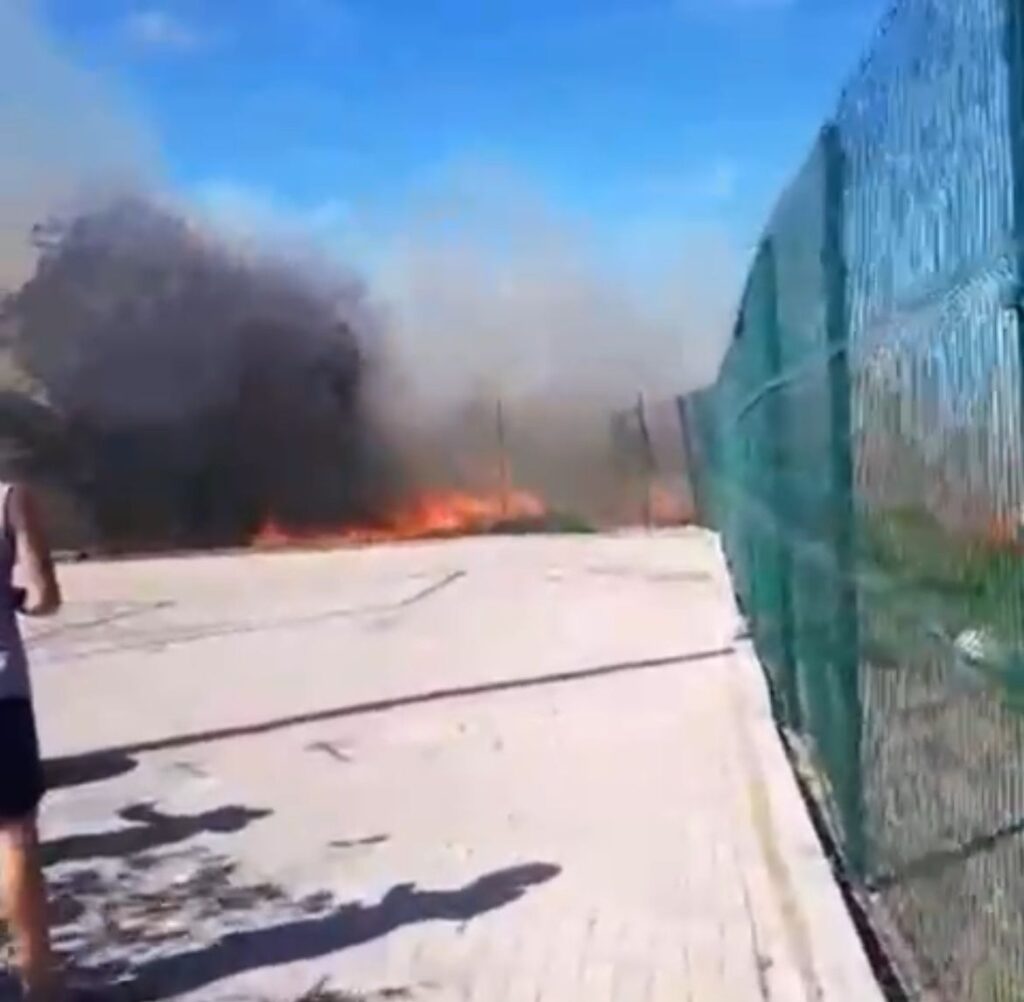 Focos de incêndio são registrados no Parque do Cocó