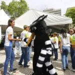 Fortaleza realiza Dia D de Combate ao Aedes aegypti na Praça do Ferreira