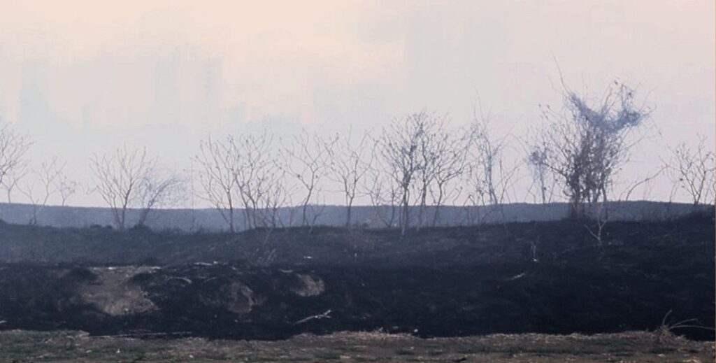 Sema, Assembleia, bombeiros e polícia se reúnem no Parque do Cocó para tratar de incêndio