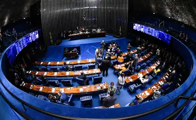 CCJ do Senado aprova texto-base da regulamentação da reforma tributária