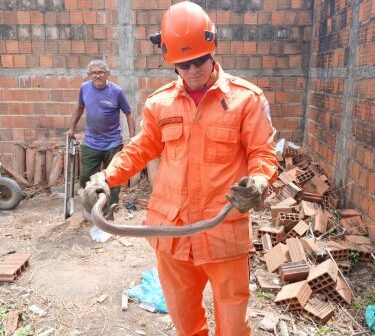 Bombeiros resgatam cobra e iguana em residências no Ceará