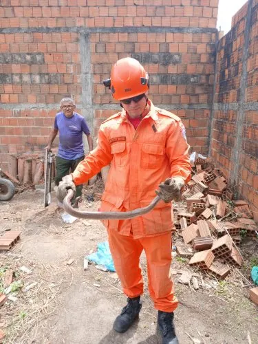 Bombeiros resgatam cobra e iguana em residências no Ceará