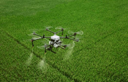 Alece aprova utilização de drones para pulverização aérea de agrotóxicos