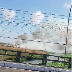 Parque do Cocó registra terceiro incêndio em menos de uma semana; confira