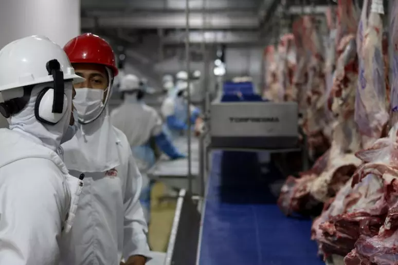 Brasil bate recorde de exportação de carne bovina e de frango em 2024