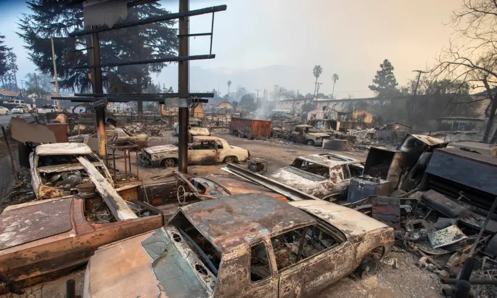 Incêndios florestais em Los Angeles devem se tornar os mais caros da história dos EUA