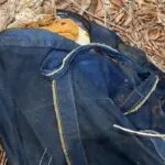 Mochila é encontrada em Tianguá, no Ceará, com ossada de pernas e braços humanos