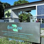 Embrapa prorroga inscrições para concurso com 1.027 vagas e salários de até R$ 12,8 mil