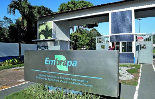 Embrapa prorroga inscrições para concurso com 1.027 vagas e salários de até R$ 12,8 mil