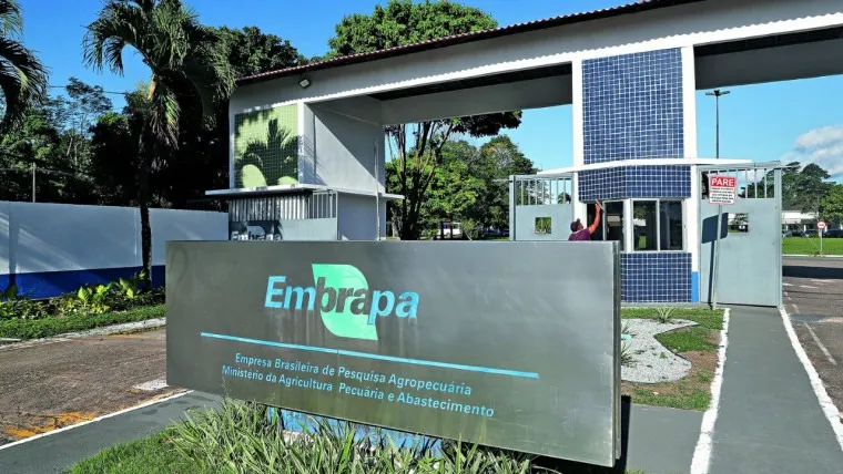 Embrapa prorroga inscrições para concurso com 1.027 vagas e salários de até R$ 12,8 mil