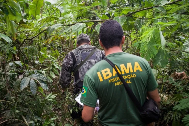 Ibama lança edital para concurso público com 460 vagas de nível superior