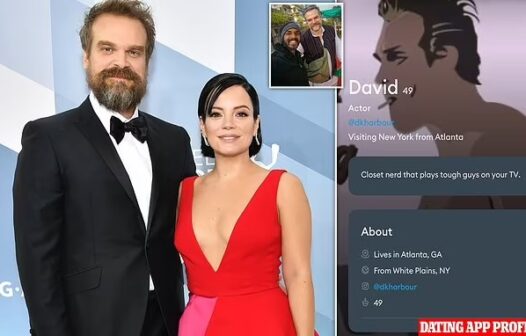 Lily Allen descobre perfil de David Harbour em app de namoro e termina casamento