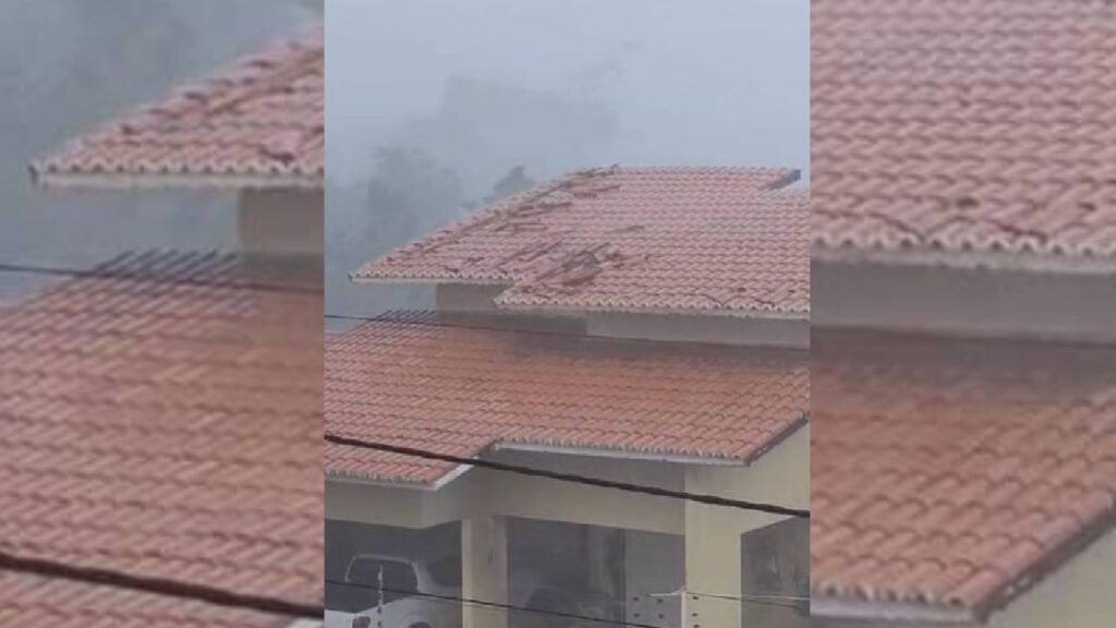 Chuva em Russas (CE) destelha casas, derruba árvores e alaga ruas da cidade