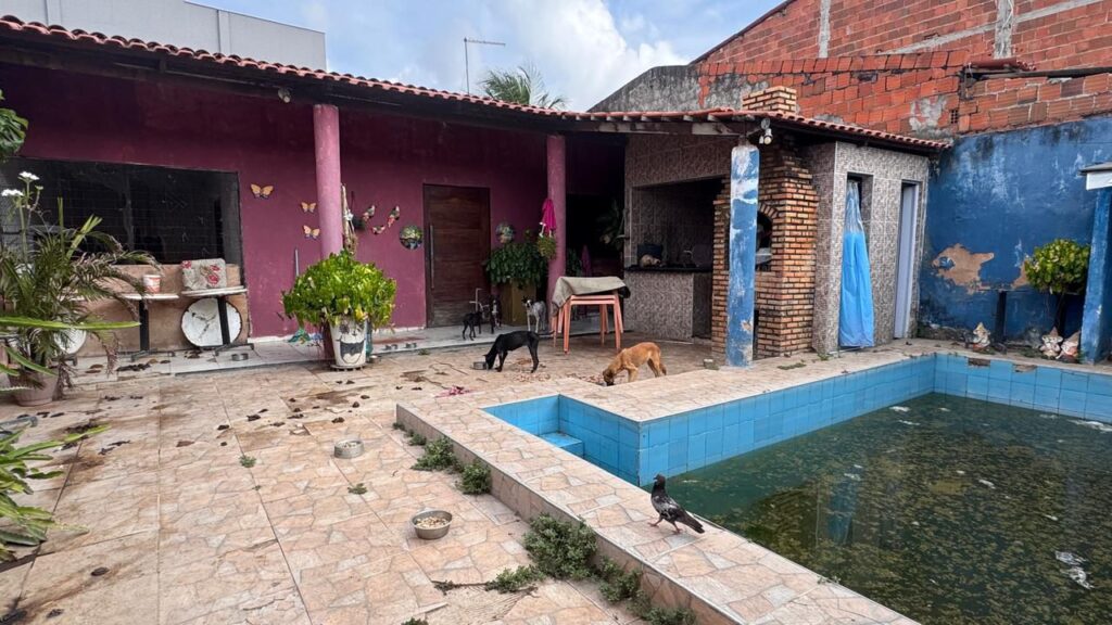 Homem é preso no Ceará por maus-tratos a seis cães em residência sem comida e água