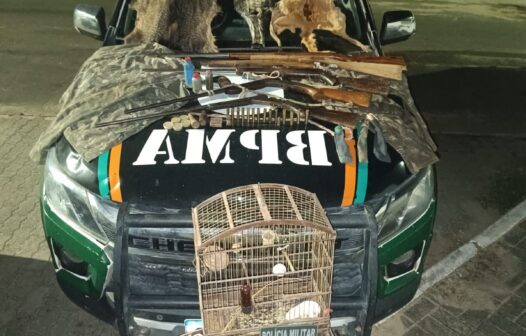 Polícia apreende armas, peles de animais e aves silvestres em operação na zona rural de Trairi