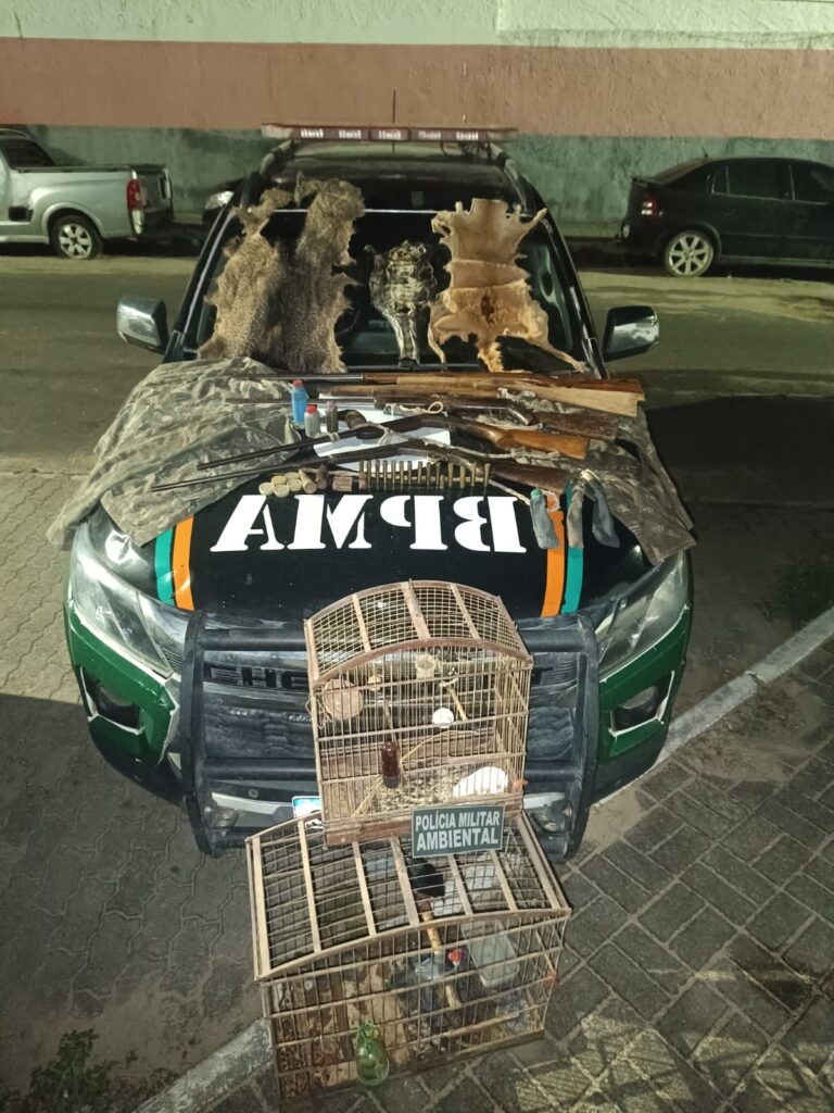 Polícia apreende armas, peles de animais e aves silvestres em operação na zona rural de Trairi