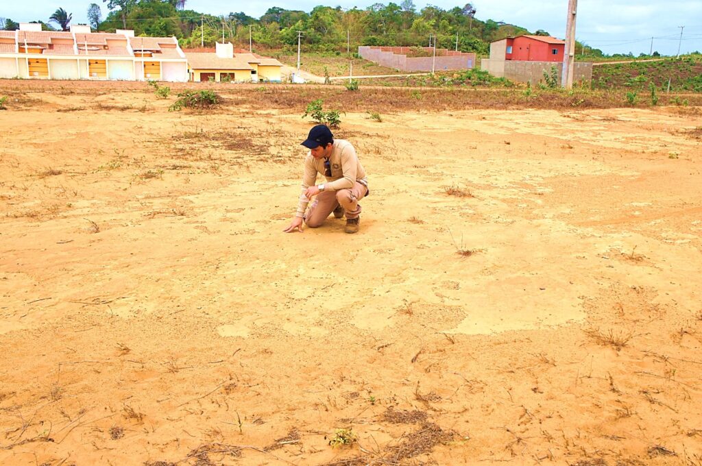 Ceará abriga mais de 1.300 sítios arqueológicos, mas enfrenta desafios na preservação