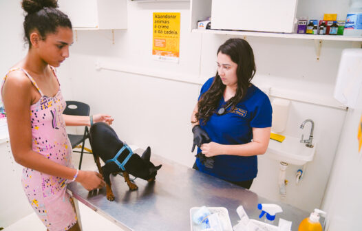 VetMóvel chega ao Aracapé com serviços veterinários gratuitos a partir desta quinta-feira (6)