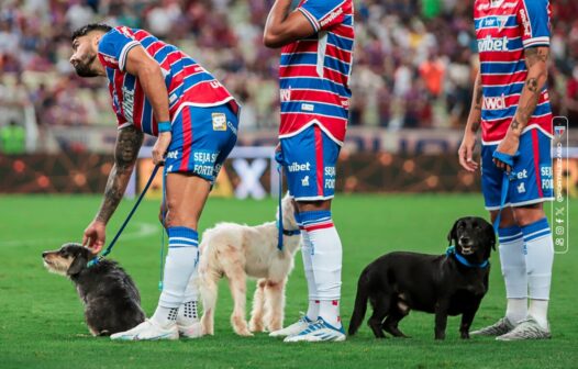 Arena Castelão e Fortaleza Esporte Clube realizam Feira de Adoção de Animais neste sábado (22)