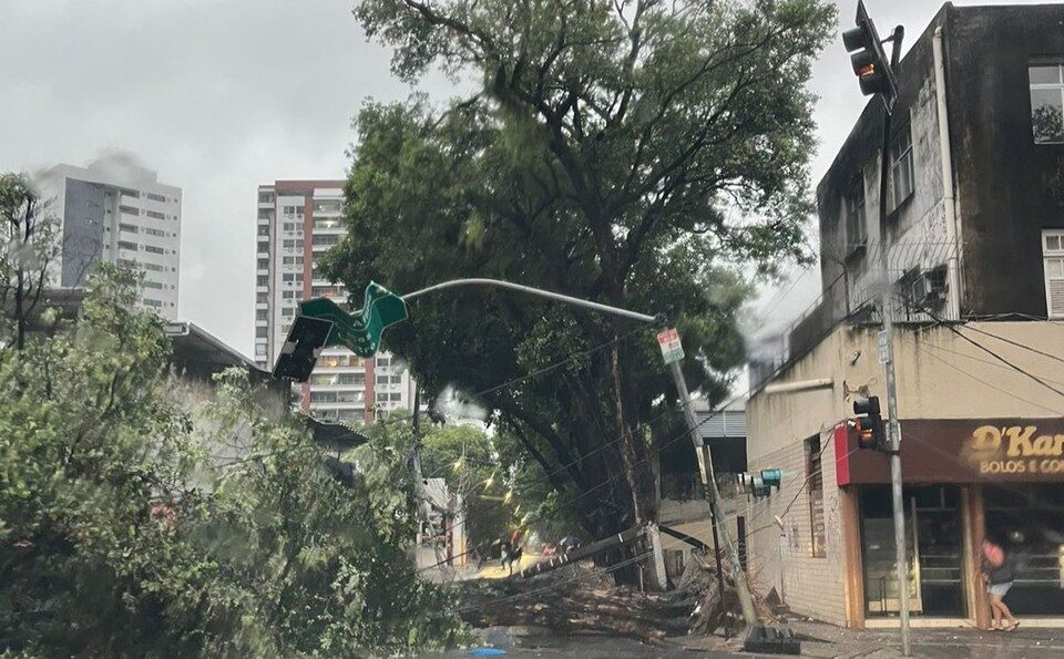 Fortes chuvas no Grande Recife deixam mortos, desalojados e causam estragos