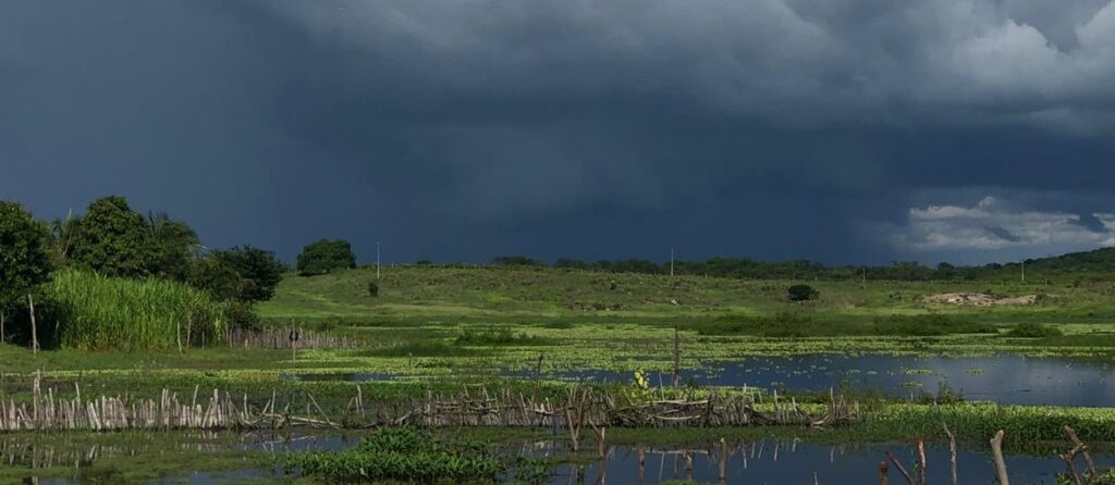 Funceme registra chuvas em mais de 140 municípios do Ceará; veja os maiores índices