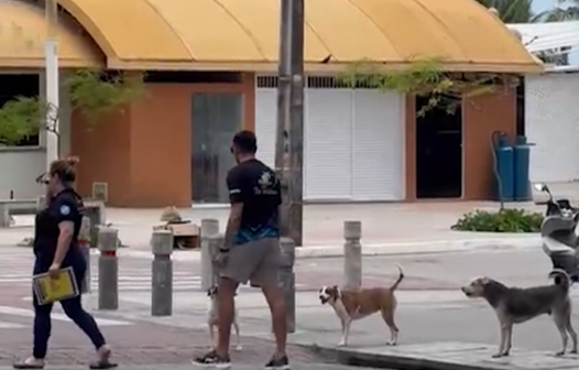 Moradores e turistas são atacados por cães em situação de rua na Beira-Mar